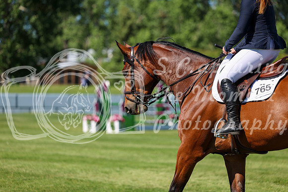 13269 - Shea - 2026 June Classic I - Saturday June 13th