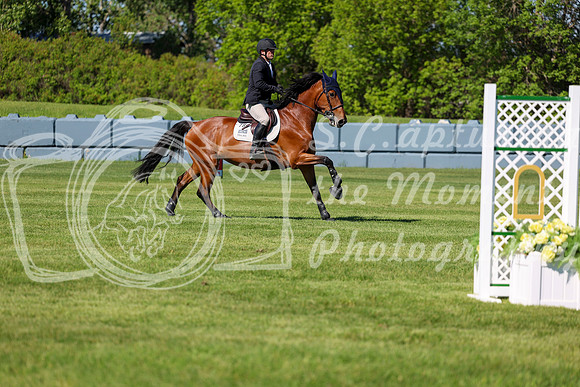 13458 - Shea - 2026 June Classic I - Saturday June 13th