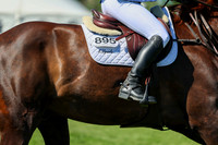 13303 - Shea - 2026 June Classic I - Saturday June 13th