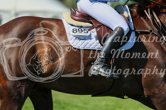 13303 - Shea - 2026 June Classic I - Saturday June 13th