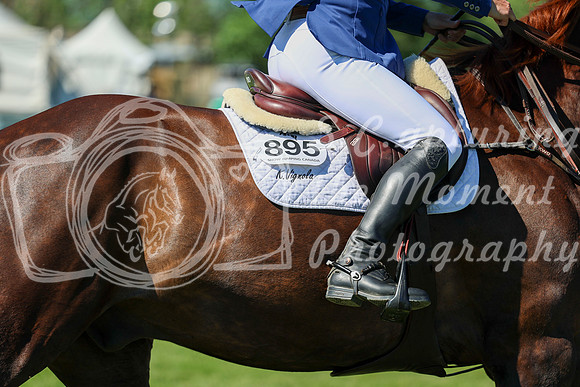 13306 - Shea - 2026 June Classic I - Saturday June 13th