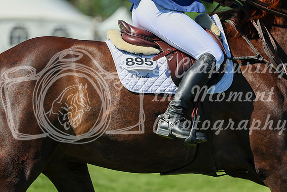 13304 - Shea - 2026 June Classic I - Saturday June 13th