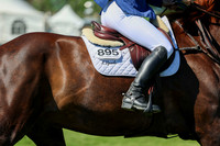 13305 - Shea - 2026 June Classic I - Saturday June 13th