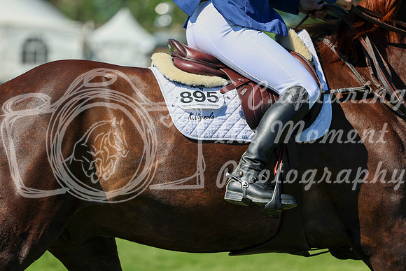 13305 - Shea - 2026 June Classic I - Saturday June 13th