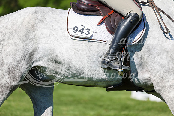 13739 - Shea - 2026 June Classic I - Saturday June 13th