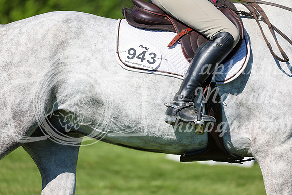 13741 - Shea - 2026 June Classic I - Saturday June 13th