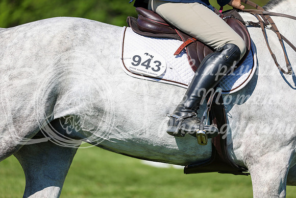 13742 - Shea - 2026 June Classic I - Saturday June 13th