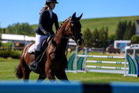 13377 - Shea - 2026 June Classic I - Saturday June 13th