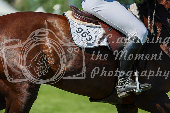 13379 - Shea - 2026 June Classic I - Saturday June 13th