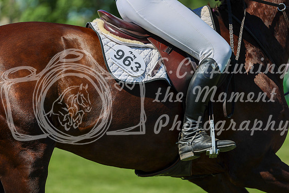 13381 - Shea - 2026 June Classic I - Saturday June 13th