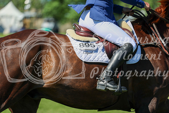 13307 - Shea - 2026 June Classic I - Saturday June 13th