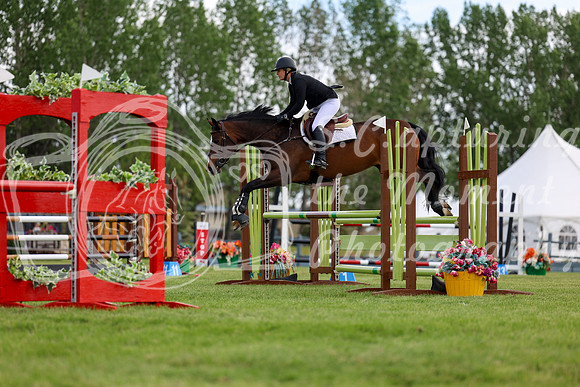04172 - Shea - 2026 June Classic I - Sunday June 14th