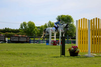 03526 - Shea - 2026 June Classic I - Sunday June 14th