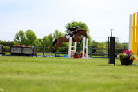 03708 - Shea - 2026 June Classic I - Sunday June 14th