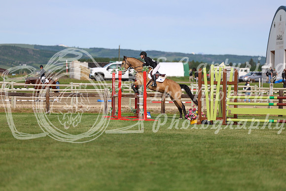00795 - Shea - 2026 June Classic I - Sunday June 14th