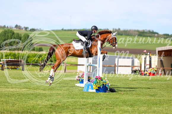 01526 - Shea - 2026 June Classic I - Sunday June 14th