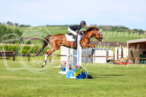 01528 - Shea - 2026 June Classic I - Sunday June 14th