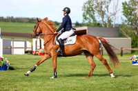 01378 - Shea - 2026 June Classic I - Sunday June 14th