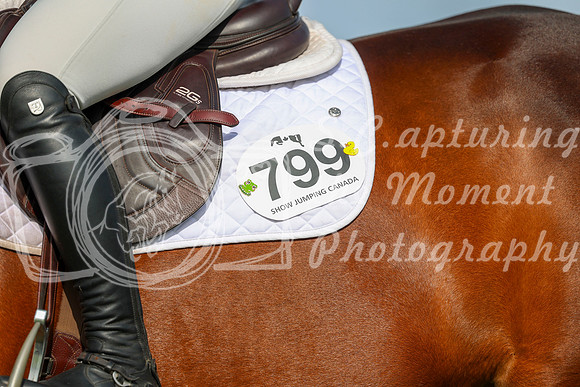 01203 - Shea - 2026 June Classic I - Sunday June 14th