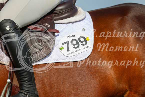 01204 - Shea - 2026 June Classic I - Sunday June 14th