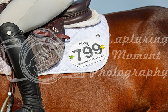 01205 - Shea - 2026 June Classic I - Sunday June 14th