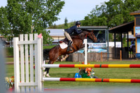 00736 - Shea - 2026 June Classic I - Sunday June 14th