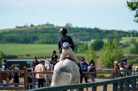 06890 - Jackie - 2026 June Classic I - Sunday June 14th