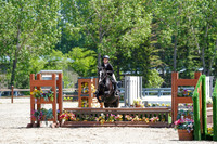 11453 - Jackie - 2026 June Classic I - Sunday June 14th