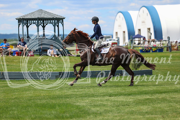 10390 - Shea - 2026 June Classic I - Sunday June 14th