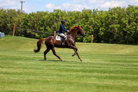 10401 - Shea - 2026 June Classic I - Sunday June 14th