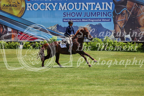 10414 - Shea - 2026 June Classic I - Sunday June 14th