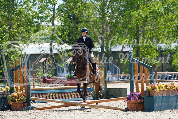 10731 - Jackie - 2026 June Classic I - Sunday June 14th