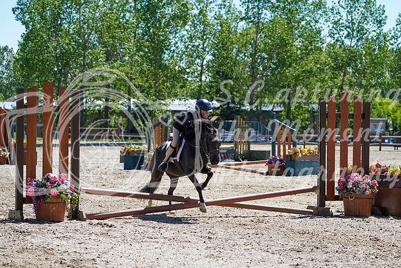 10590 - Jackie - 2026 June Classic I - Sunday June 14th