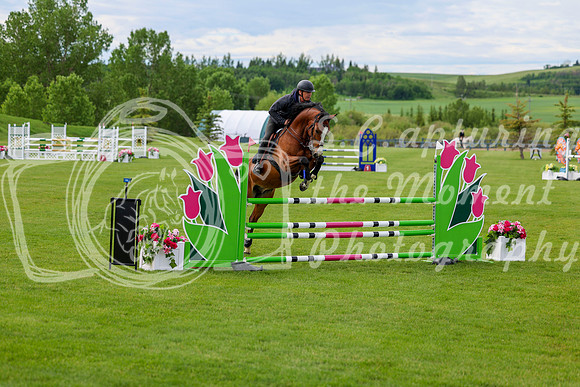 01175 - Shea - 2026 June Classic II - Wednesday June 17th