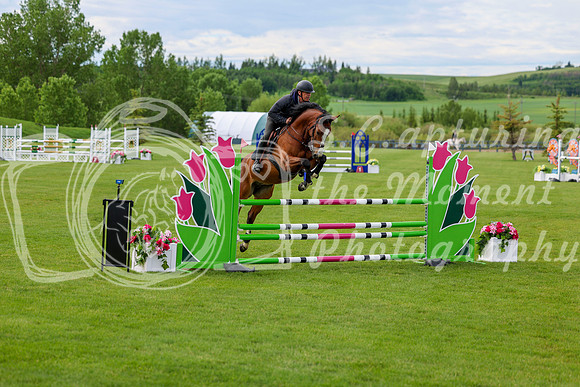 01176 - Shea - 2026 June Classic II - Wednesday June 17th