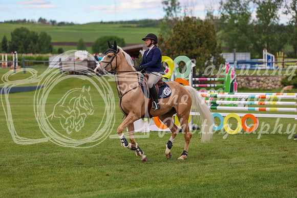 00076 - Shea - 2026 June Classic II - Wednesday June 17th