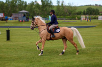 00081 - Shea - 2026 June Classic II - Wednesday June 17th