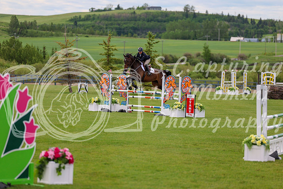 00816 - Shea - 2026 June Classic II - Wednesday June 17th