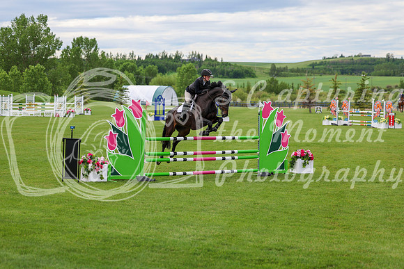 00382 - Shea - 2026 June Classic II - Wednesday June 17th