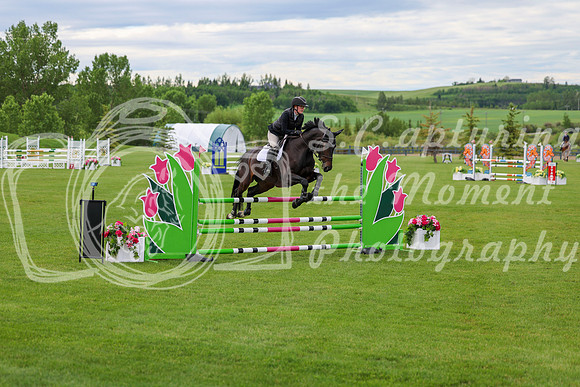00384 - Shea - 2026 June Classic II - Wednesday June 17th