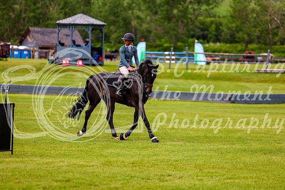 00244 - Shea - 2026 June Classic II - Wednesday June 17th