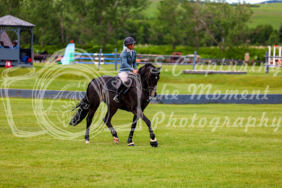 00247 - Shea - 2026 June Classic II - Wednesday June 17th