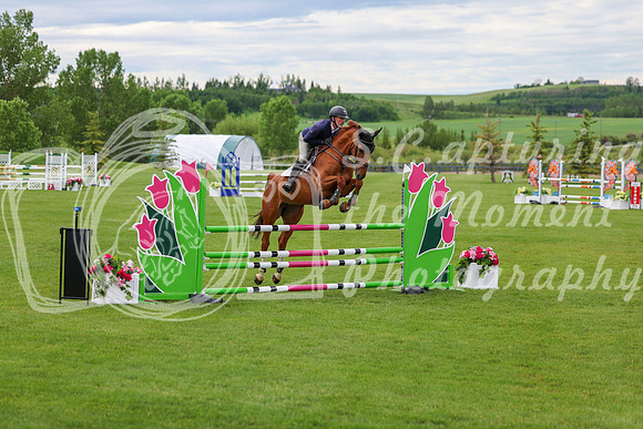 00463 - Shea - 2026 June Classic II - Wednesday June 17th