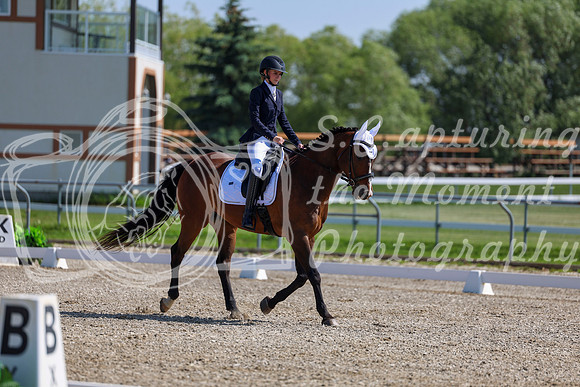 2025 - Dressage Festival - Saturday July 5th - 03975