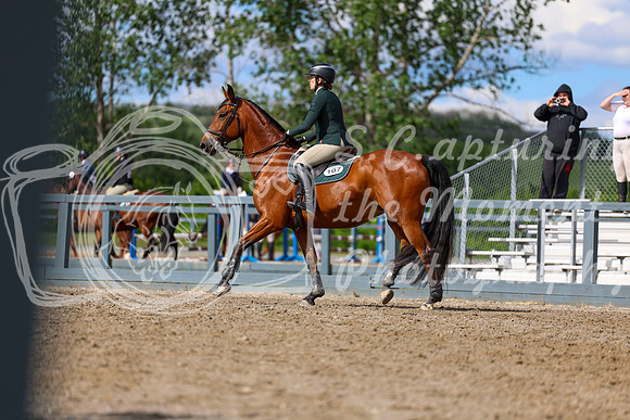 01895 - Shea - 2026 June Classic II - Wednesday June 17th