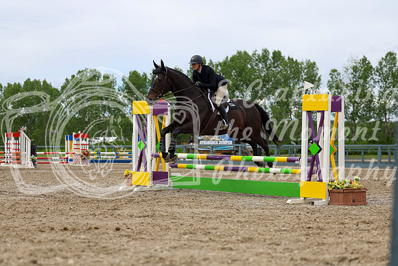 02955 - Shea - 2026 June Classic II - Wednesday June 17th