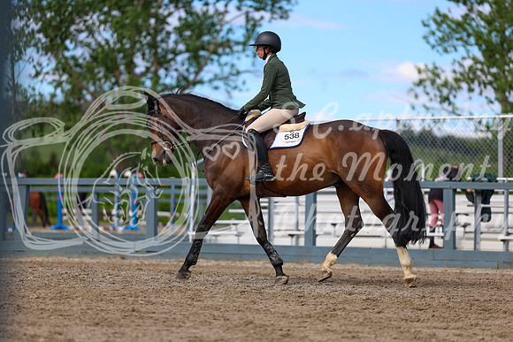 01261 - Shea - 2026 June Classic II - Wednesday June 17th