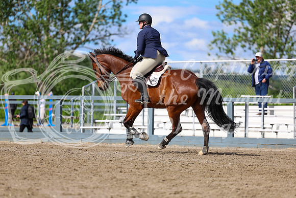 01658 - Shea - 2026 June Classic II - Wednesday June 17th