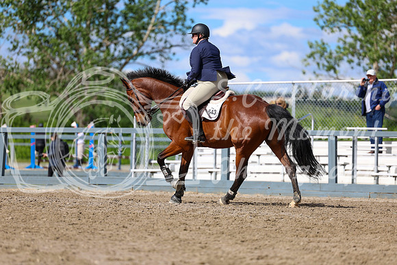 01660 - Shea - 2026 June Classic II - Wednesday June 17th