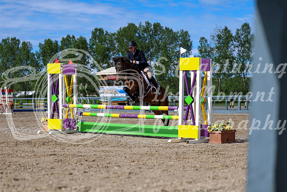 01810 - Shea - 2026 June Classic II - Wednesday June 17th